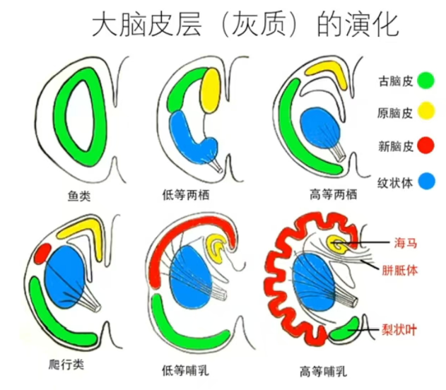 image-20250620123127940